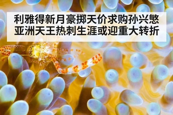 利雅得新月豪掷天价求购孙兴慜 亚洲天王热刺生涯或迎重大转折