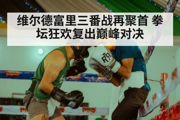 维尔德富里三番战再聚首 拳坛狂欢复出巅峰对决