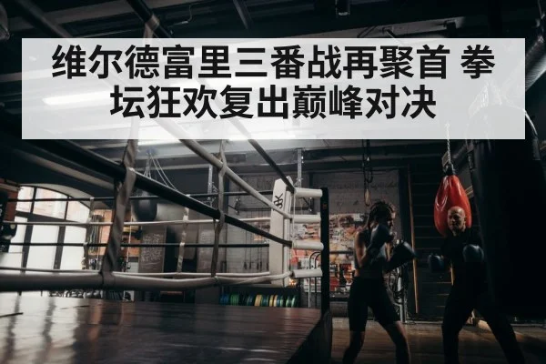 boxer training